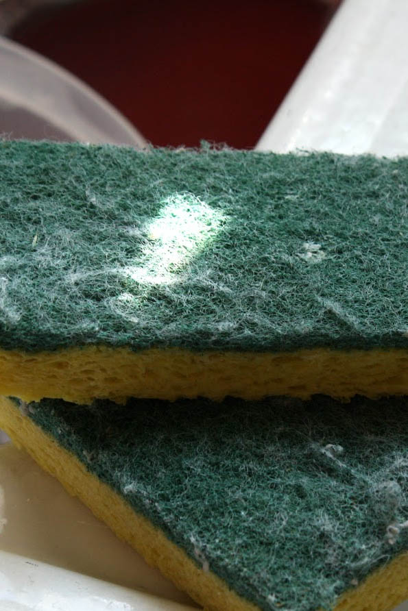 0000 Kitchen sponge